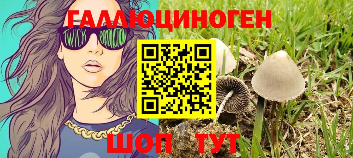 Псилоцибиновые грибы Cubensis Карпинск