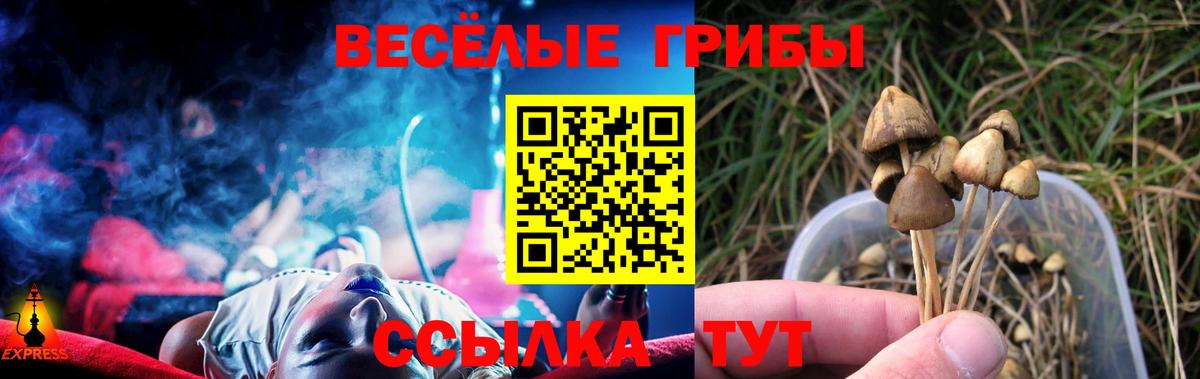 Псилоцибиновые грибы ЛСД  Вход с VPN  Псилоцибиновые грибы Psilocybe  где купить наркоту  Карпинск 
